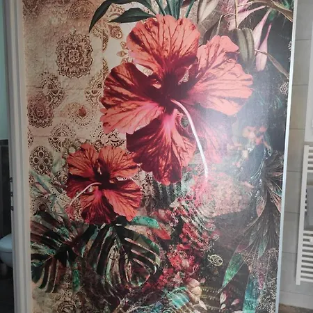 בית הארחה Les Pitchounettes 3*