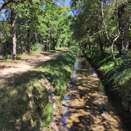 בית הארחה Les Pitchounettes Sorèze