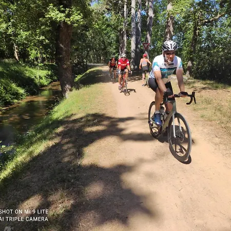 Les Pitchounettes Sorèze