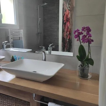 Les Pitchounettes בית הארחה 3*